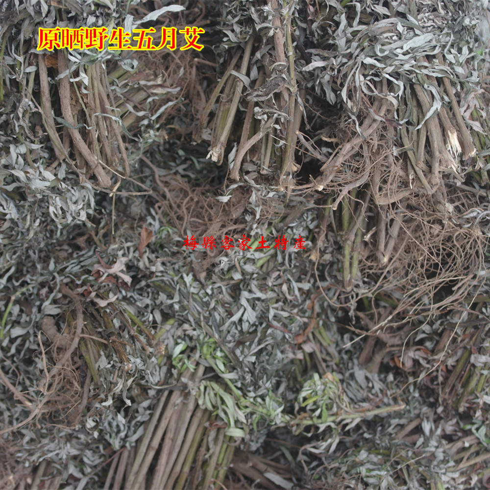 原晒五月艾 艾根 艾草 五月艾干 纯野生五月艾艾蒿 煲汤佳品500克