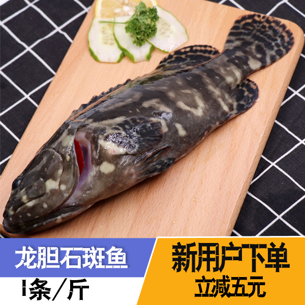 东山岛野生龙胆石斑鱼新鲜海捕海鲜海产品鲜活海鱼1-2条/500g鲜活
