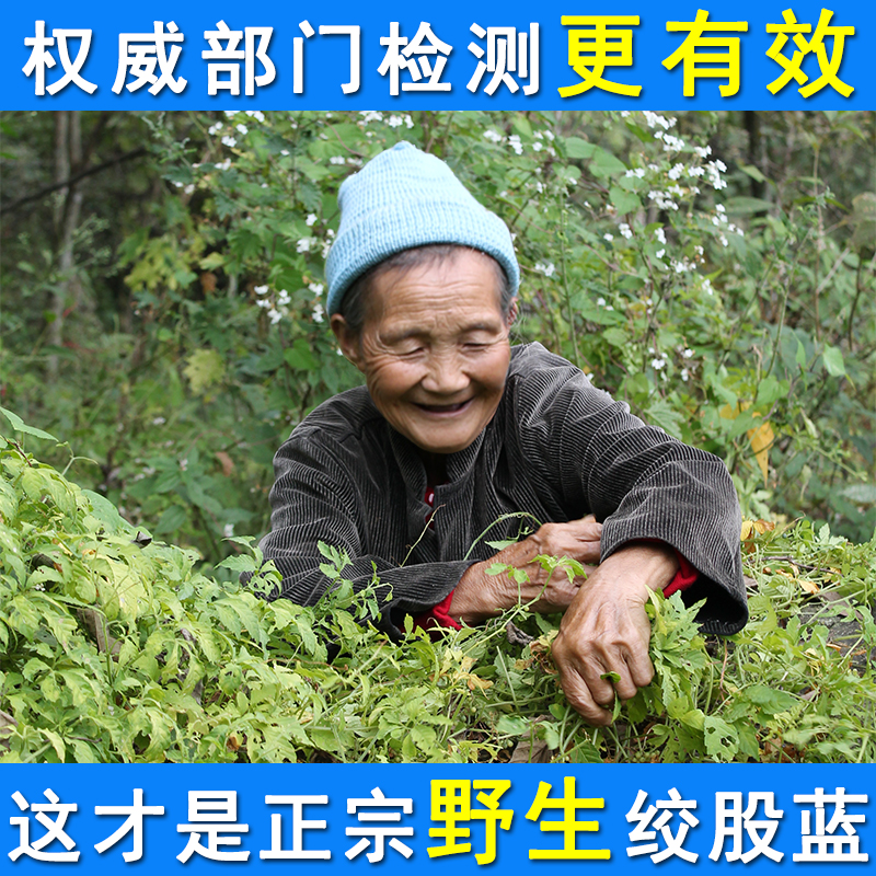七叶绞股蓝茶野生正品七叶参苦甘味养生茶500g非平利龙须茶绞股蓝