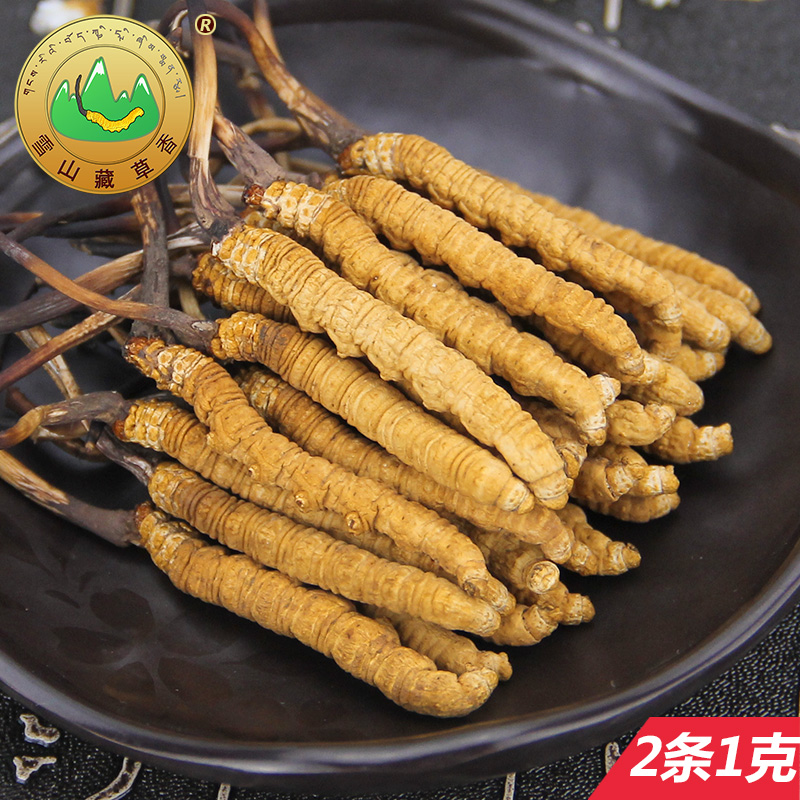 雪山藏草香 正品冬虫夏草 2根/克青海玉树野生虫草 无断草礼盒装