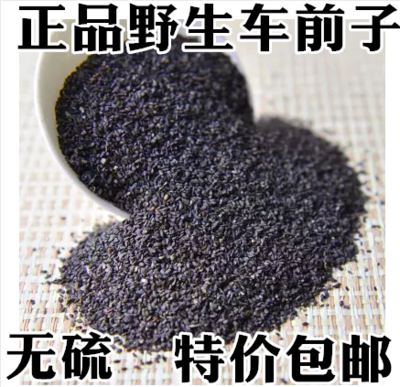 中药材 车前子 车前草的种子 500克18元  正品保证 包邮