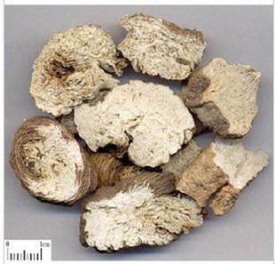 批发  南沙参 250g18元两件包邮 质量保证 免费磨粉