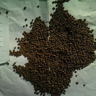 花卉种子 草花种子 凤仙花种子 指甲草 透骨草 金凤花 洒金花