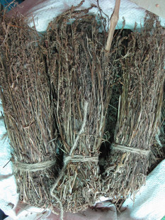 正品野生盘龙参/鲤鱼草/九龙蛇/绶草/镰刀草/海珠草 干品