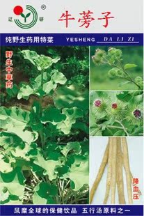 野生药用特菜 牛蒡子种子 五行汤原料之一 中草药 5克
