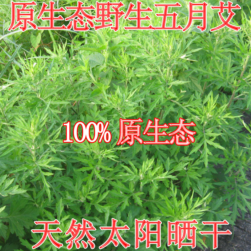纯野生自晒五月艾整颗干艾叶艾梗艾根煲汤产妇宝宝泡澡泡脚500克