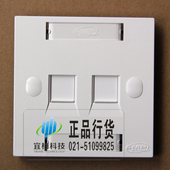 双口 双孔平口 大量现货 2口86型面板 AMP安普1859050 安普 正品
