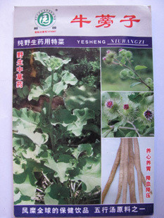 出售中草药种子 牛蒡子种子 纯野生药用特菜（ 10克）装