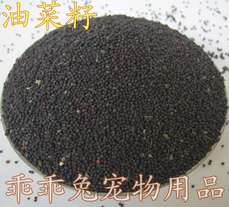 鸟食 油菜籽/特价新鲜 虎皮 牡丹 鹦鹉 芙蓉鸟 玉鸟 文鸟 250g