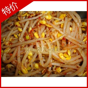 朝鲜拌菜 佳木斯新鲜昌星星三姐妹拌菜拌豆芽鲜族韩国凉拌菜