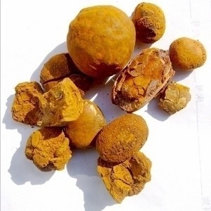正品 纯天然 牛黄,假一赔十 1克 248元 【正品保化验】