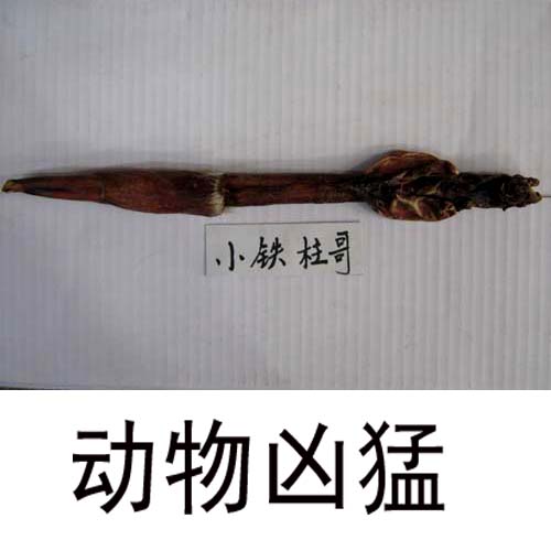 小铁柱哥东北鹿鞭 正品 鹿鞭整枝 泡酒料 干品鹿产品 320元一根