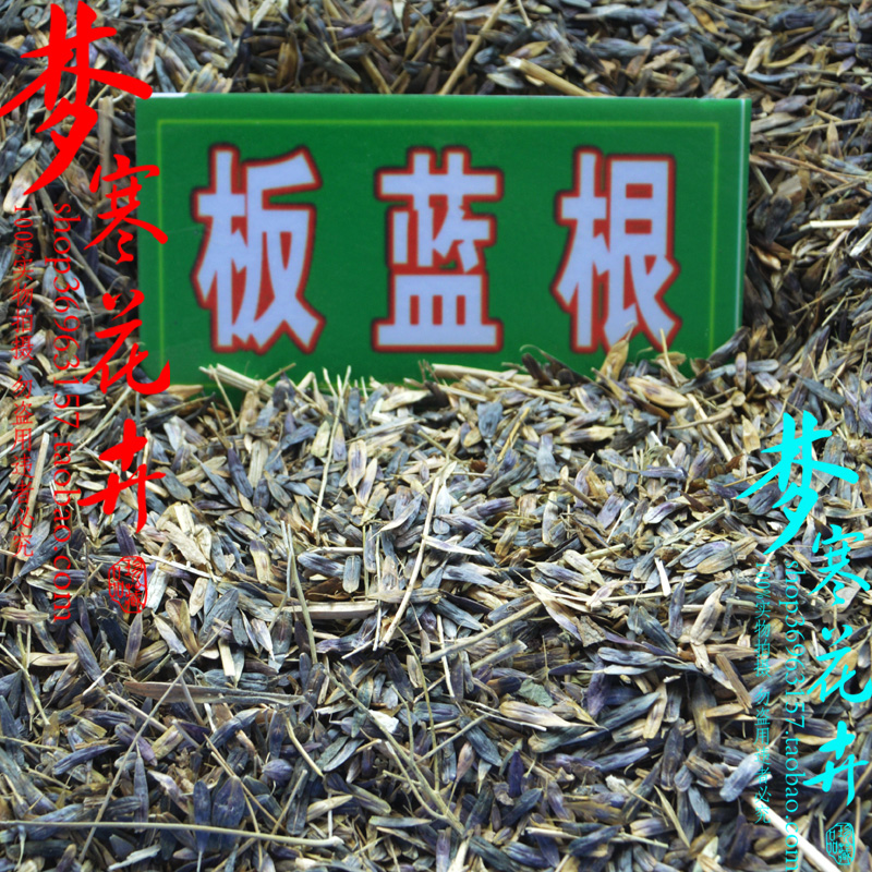 中药材种子 优质大叶板蓝根种子 纯新籽 蓝靛青 大青叶 20元1斤