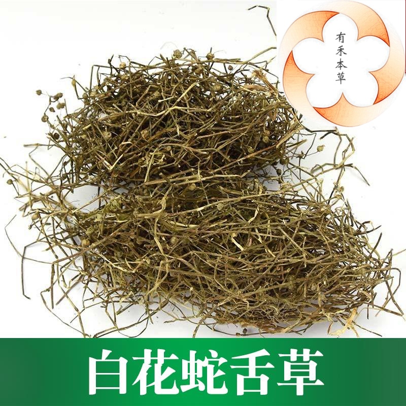 [有禾]白花蛇舌草/蛇舌草/蛇舌癀/蛇针草/蛇总管/500克