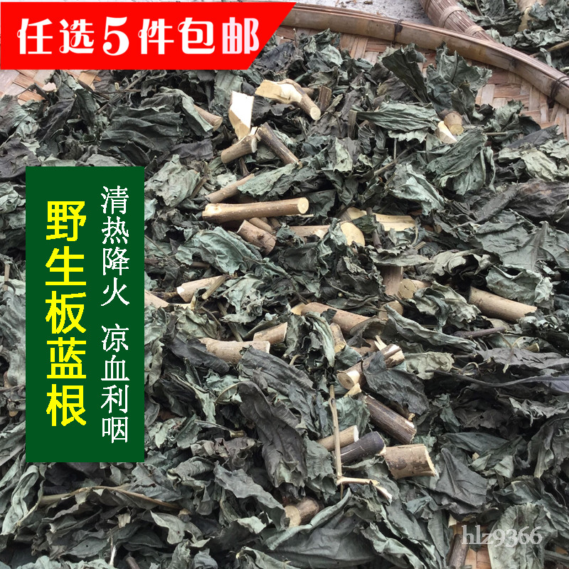 天然野生板蓝根靛青根 蓝靛根 大青根 清热降火儿童凉茶100克