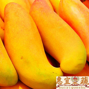 新鲜水果/水果制品 新鲜水果 芒果 果蔬 菲律宾吕宋芒 包邮顺丰22