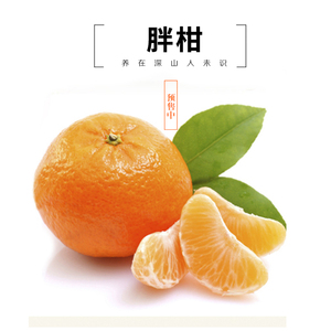 【的橘子】最新淘宝网的橘子优惠信息