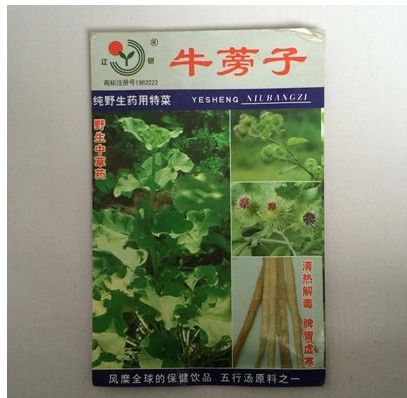牛蒡子种子 养心养性降血压五行汤原料 秋冬季蔬菜 阳台四季播种