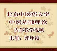 北京中医药大学中医基础理论内部教学视频65讲郭珍霞教学教程