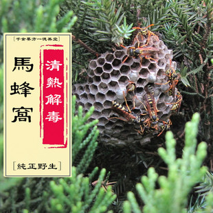 家蜂房 露蜂房 马蜂房 正品蜂房赔本包邮500g