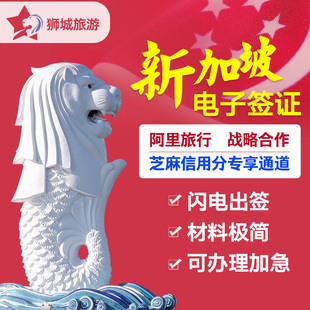 新加坡签证 电子签个人旅游签证办理 全国办理