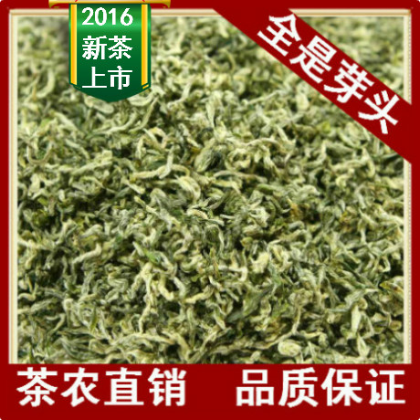 2016新绿茶 明前特级苏州洞庭山碧螺春散装礼盒茶农茶叶批发直销
