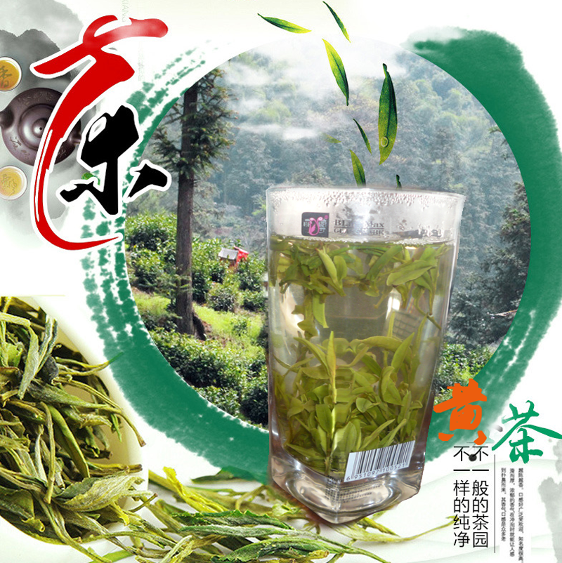2016年新茶安徽黄茶雨前特采霍山黄芽茶叶正宗大化坪产现货包邮