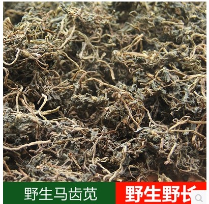 马齿苋 马齿菜种子 野生全草  马齿笕干菜 中药材 五行草包邮