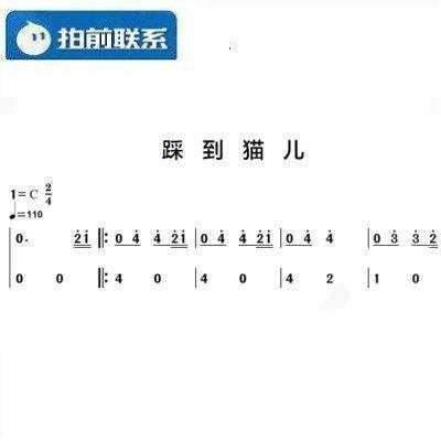 踩到猫儿 拜厄练习曲八 简单转c调 有试听 钢琴双手简谱 共1页