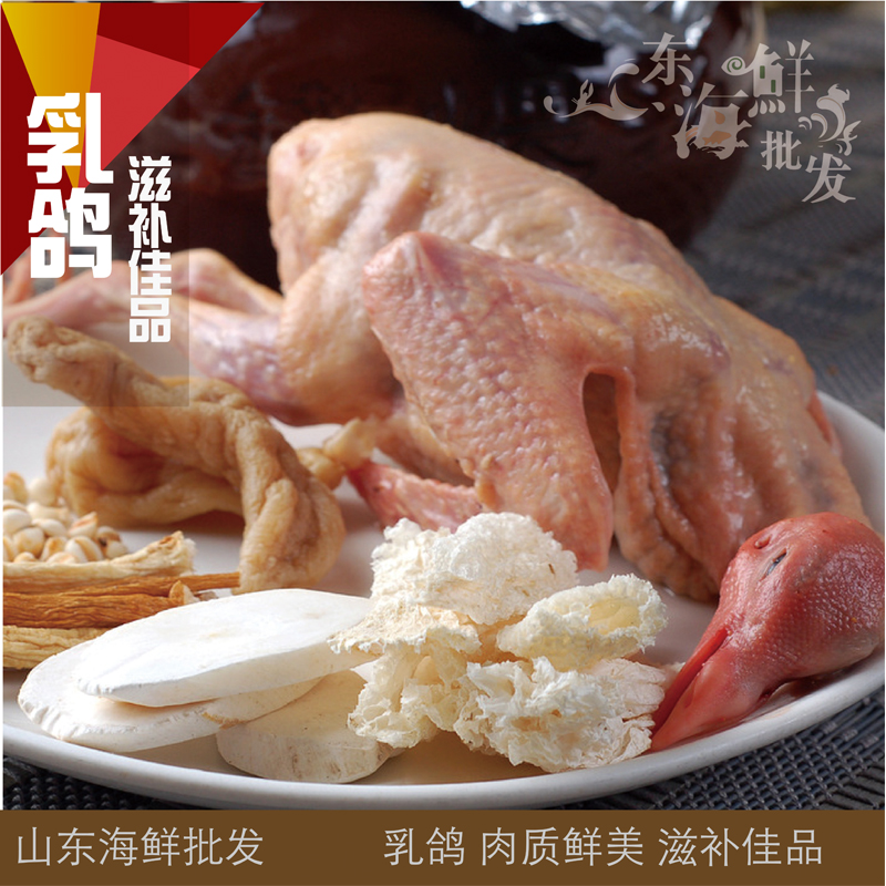 正品[鸽子脚环2015]2015鸽子脚环号查询评测 