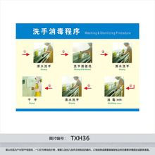 食品厂洗手消毒程序宣传画墙贴纸TXH36 工厂车间工作流程挂图海报