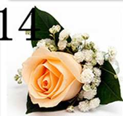 正品[龙岗有哪些眼镜厂]深圳龙岗雅骏眼镜厂评