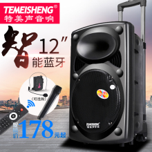 特美声297户外广场舞音响12寸充电移动拉杆电瓶大功率便携式音箱