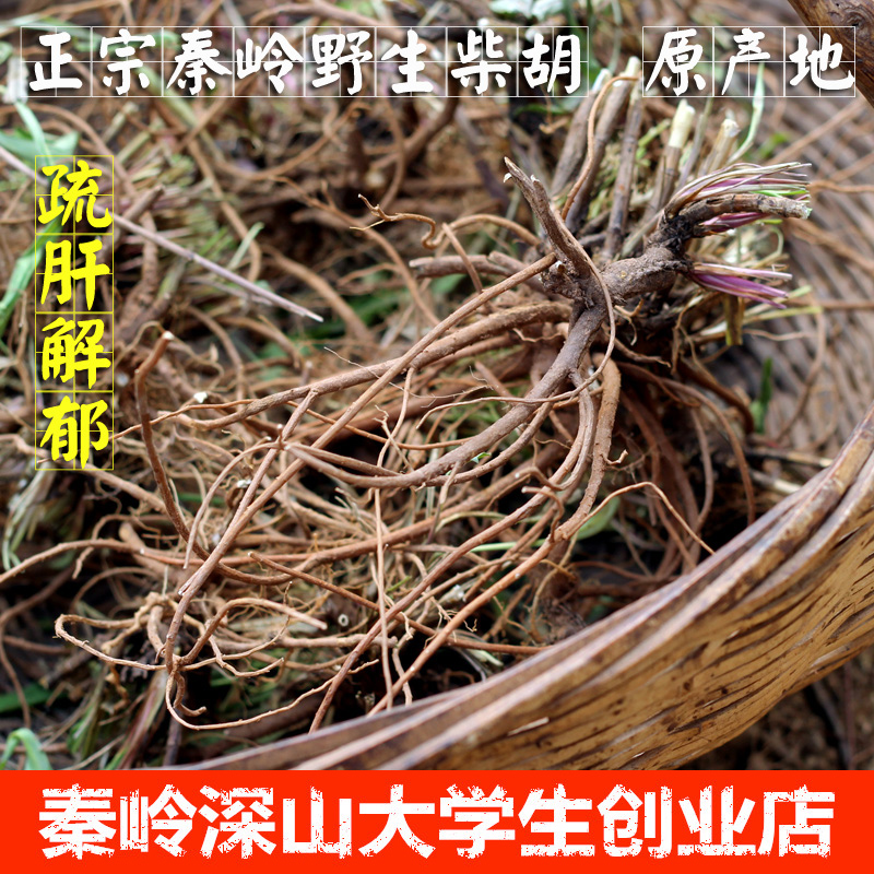 野生柴胡 北柴胡根 秦岭竹叶柴胡 疏肝解郁 正品无硫 中药材250g