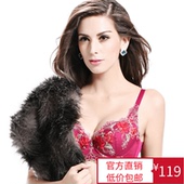 正版内衣女夏季薄款 刺绣调整型聚拢文胸 桑扶兰官方旗舰店专柜正品