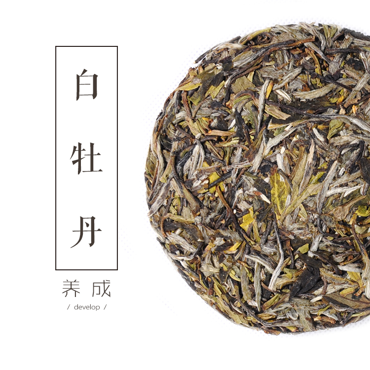 白牡丹茶饼 福建福鼎特级高山陈年 政和老白茶王礼盒 白皮茶叶