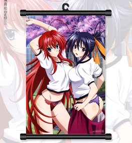 high school dxd 恶魔高校动漫挂画海报卷轴画布画白轴定做 03438