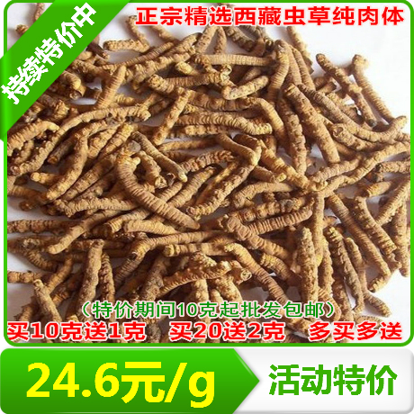 正宗野生西藏冬虫夏草 大断草 精选纯肉体 特干虫草 10g起售 包邮