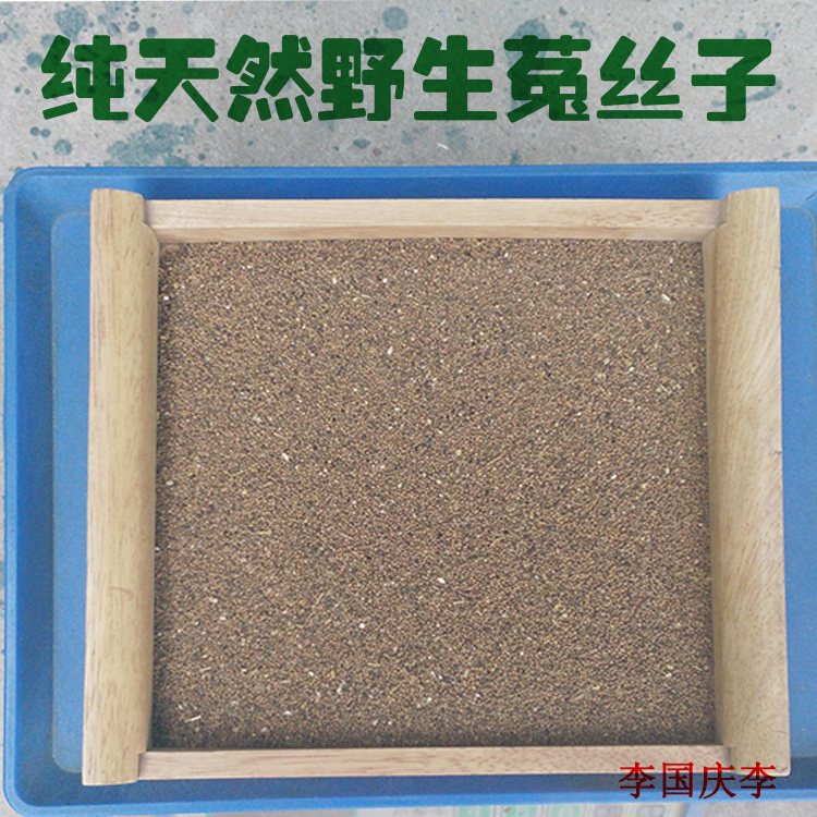 天然野生中药材菟丝子500克包邮