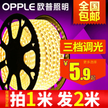 饰七彩变色贴片超亮线灯220v 欧普照明led灯带霓虹灯条客厅吊顶装