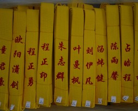 推荐最新跆拳道 证书 跆拳道证书查询信息资料