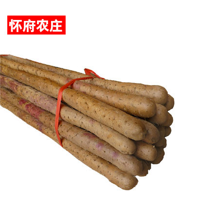 【怀府农庄】焦作新鲜沙土铁棍山药 正宗温县淮山药 限区包邮