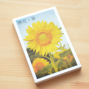 38包邮/恋花 葵 向日葵 盒装植物风景明信片 卡片 贺卡 30张