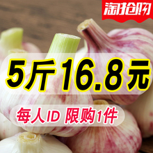 干大蒜 包邮 5斤装 特产批发独蒜头 2017新鲜紫皮大蒜头特产低价