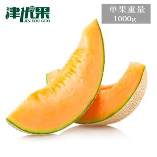 现货 果丽奇 西州蜜 现货新疆哈密瓜 晓蜜2只装 5斤左右新鲜水果