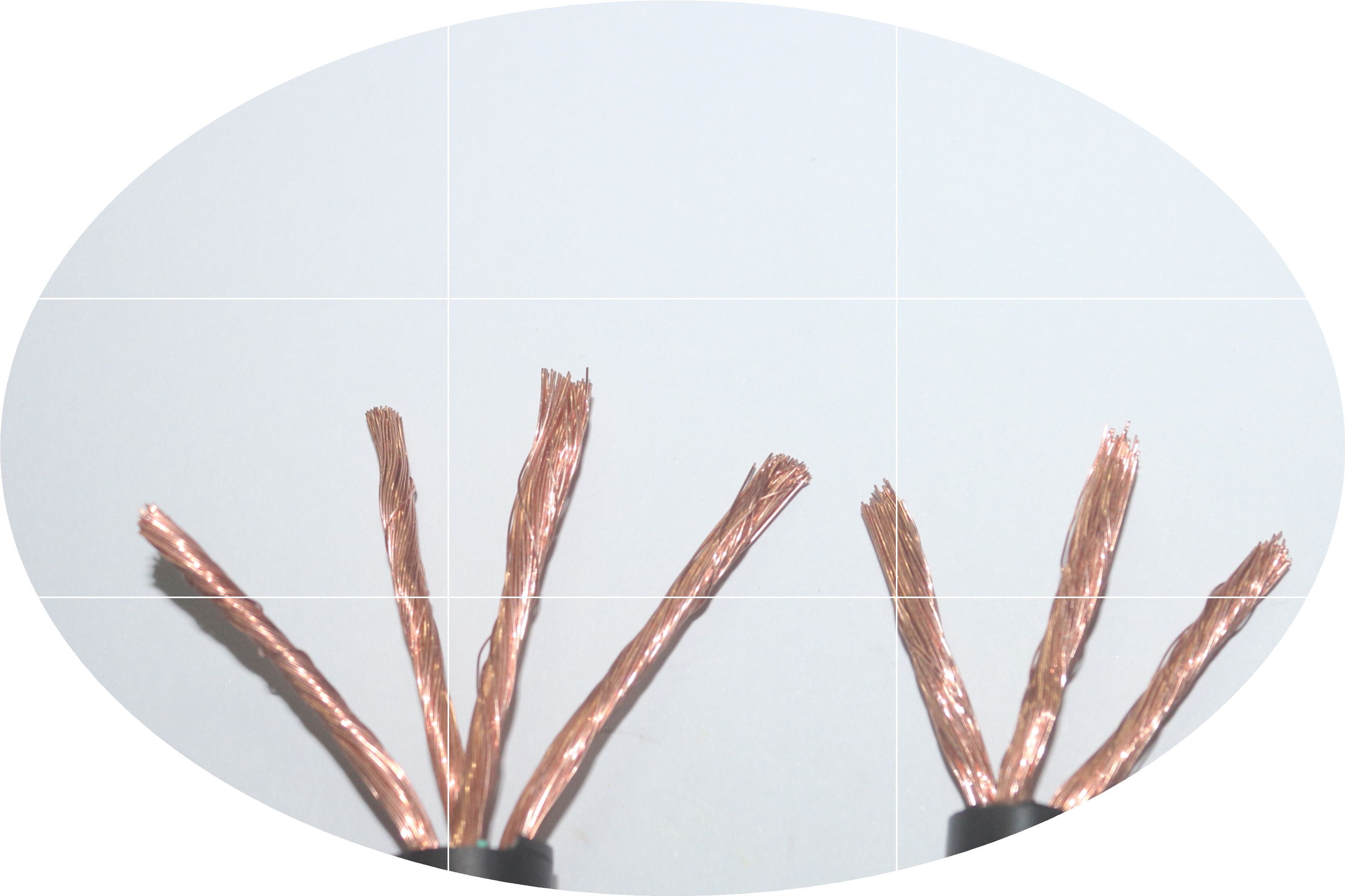 正品[珠江电视台直播]广东珠江电视台直播评测