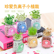 创意diy负离子水培盆栽办公桌面水培陶碳球防辐射迷你小盆栽