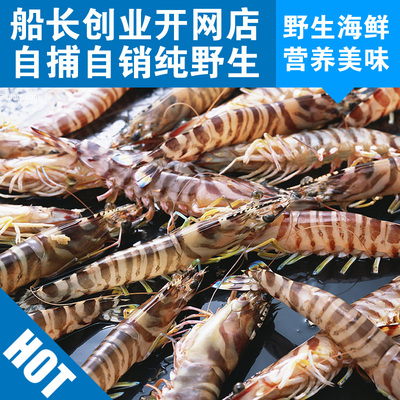 海捕斑节虾九节虾黑斑节虾黑九节虾黑老虎虾大虾特级虾5斤包邮