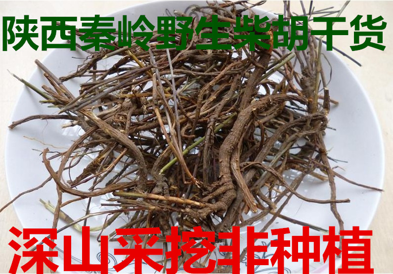 中药材柴胡 柴胡根黑柴胡陕西秦岭野生叶柴胡根北柴胡根正品500克