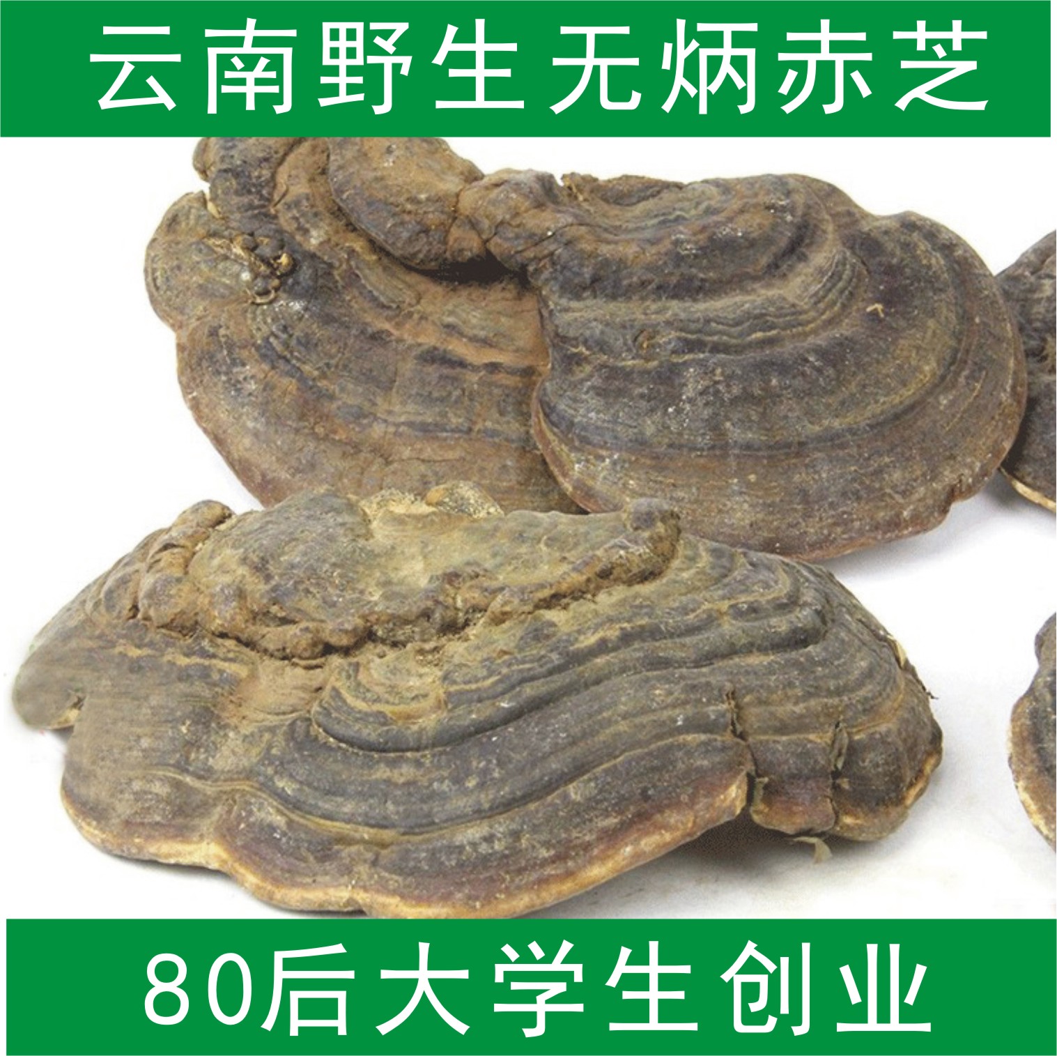赤芝 赤灵芝 无柄赤芝 野生灵芝正品 红缘层孔菌  树舌灵芝 250克